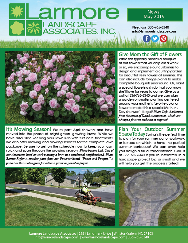 May Printed Newsletter 2019 Page 1