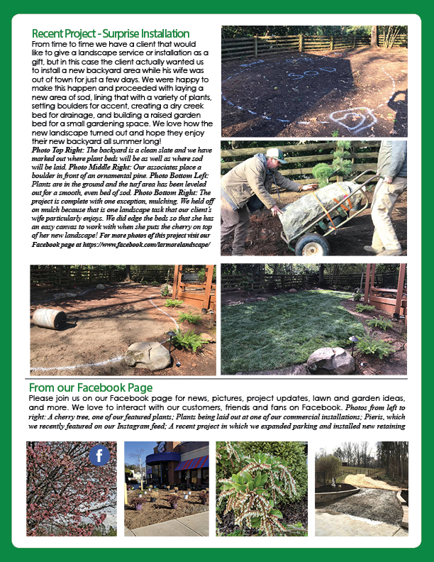 May Printed Newsletter 2019 Page 2